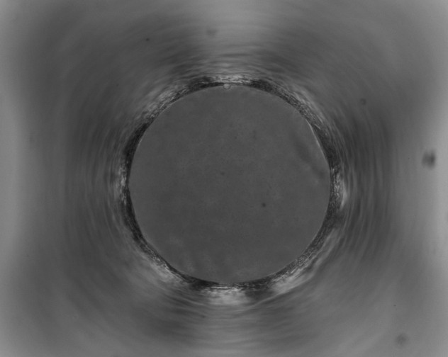 X0000100360322200806131021