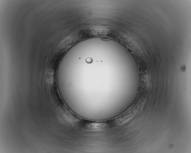 X0000100360323200806131021