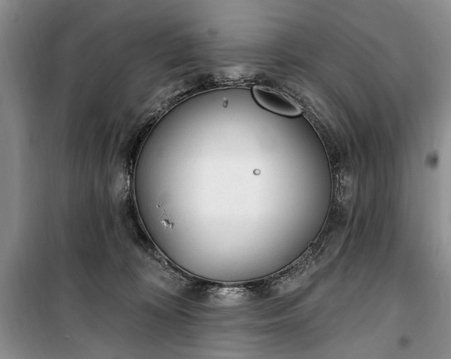 X0000100360324200806131021