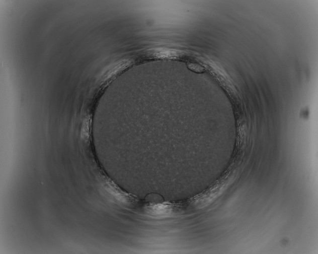 X0000100360325200806131021