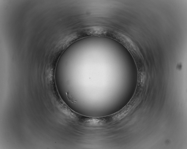 X0000100360326200806131021