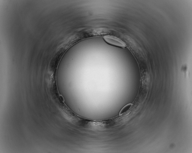 X0000100360327200806131021