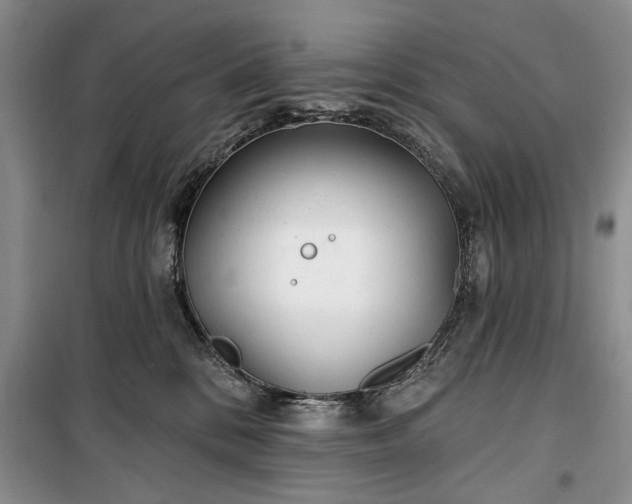 X0000100360328200806131021