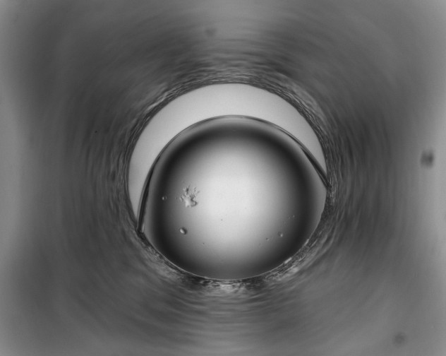 X0000100360329200806131020