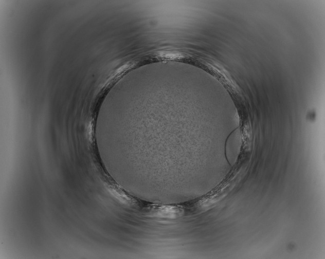 X0000100360330200806131020