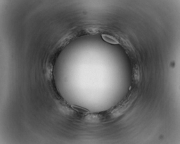 X0000100360332200806131020