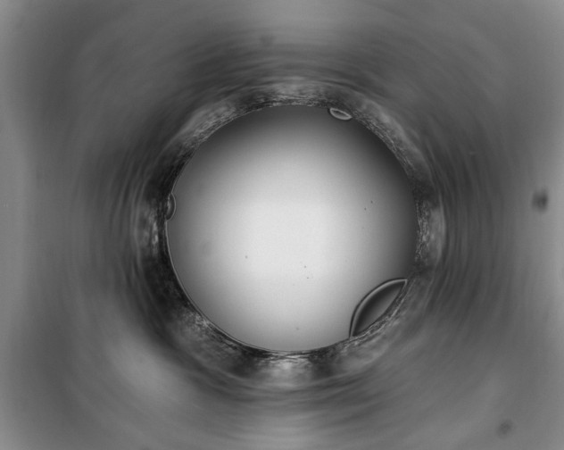 X0000100360333200806131020