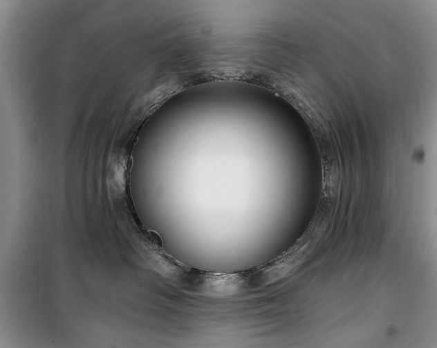 X0000100360334200806131020