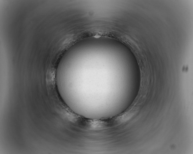 X0000100360336200806131020