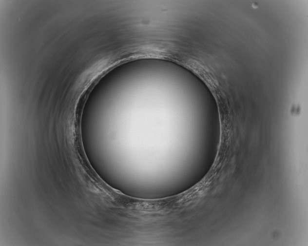 X0000100360338200806131020