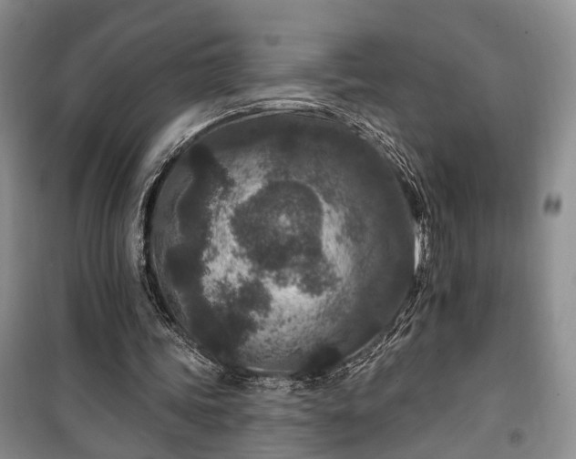 X0000100360339200806131020