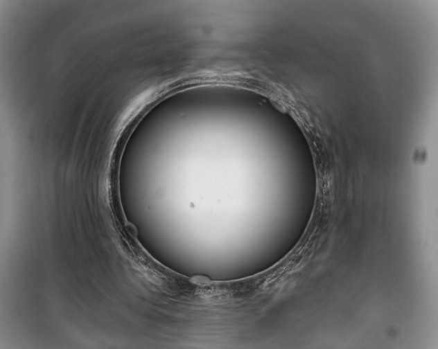 X0000100360340200806131020