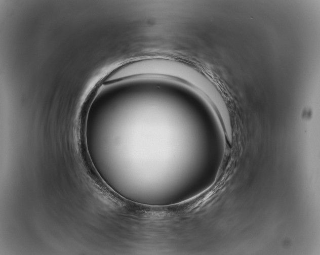 X0000100360342200806131020