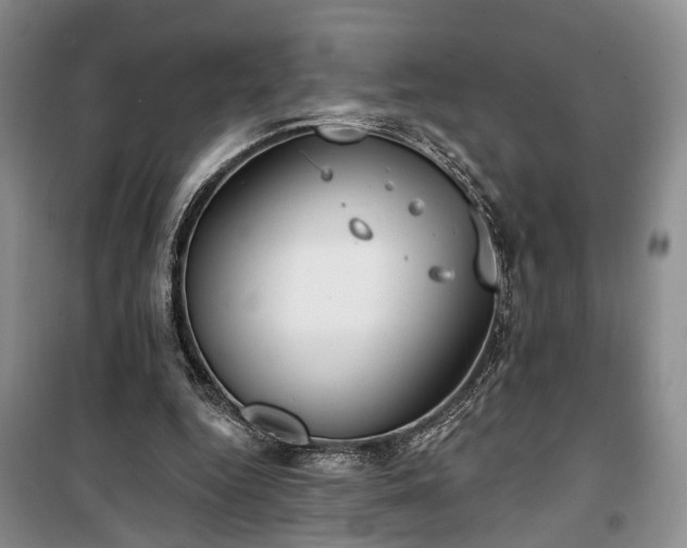 X0000100360344200806131020