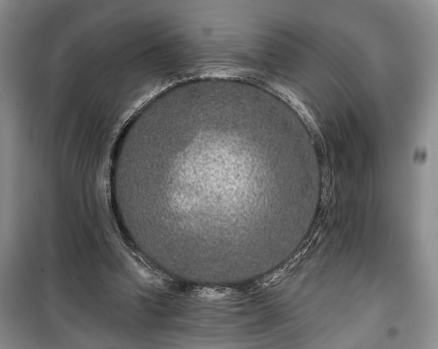 X0000100360346200806131020