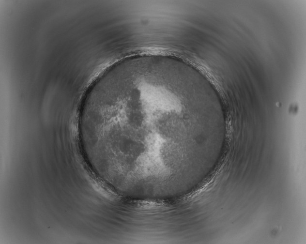 X0000100360347200806131020