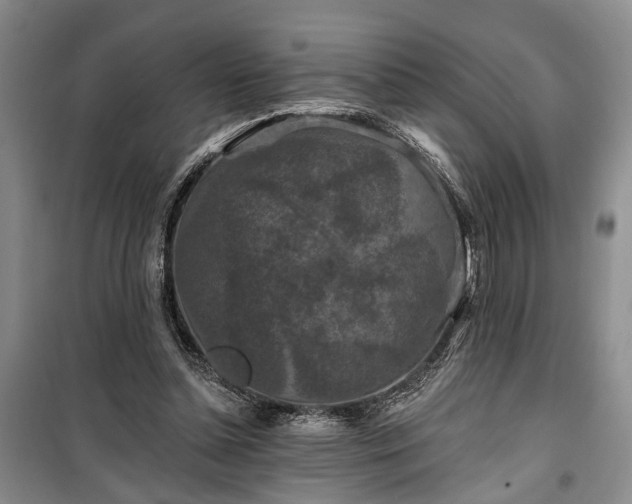 X0000100360348200806131020