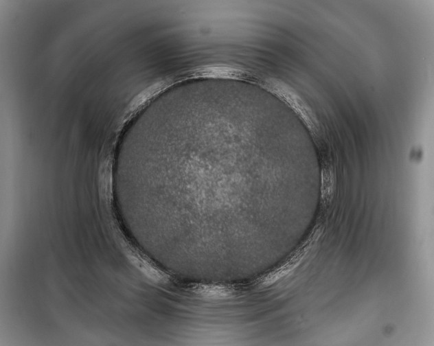 X0000100360349200806131020