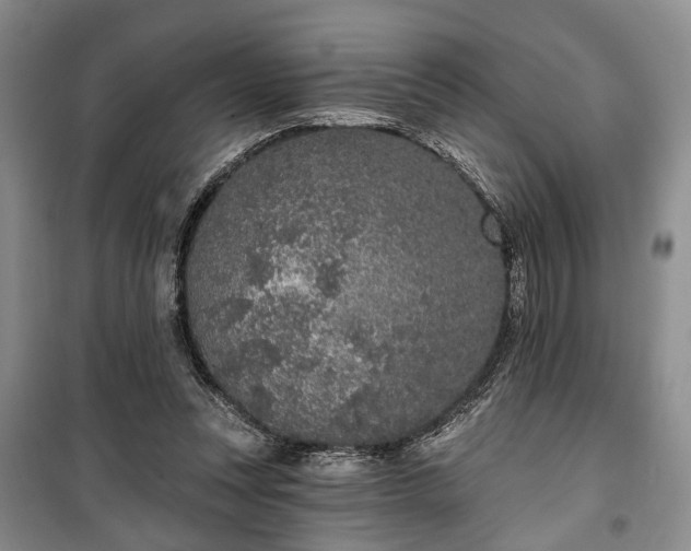 X0000100360351200806131020