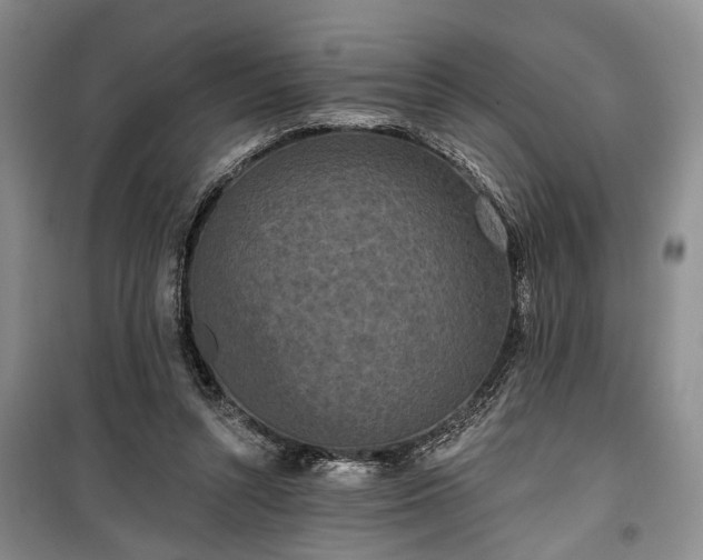 X0000100360352200806131020