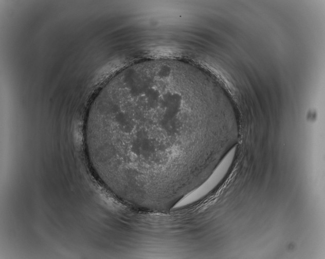 X0000100360353200806131020