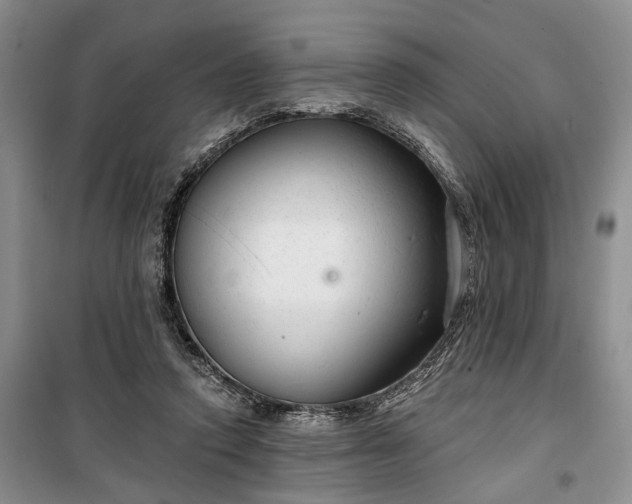 X0000100360354200806131020