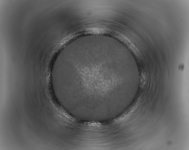 X0000100360355200806131020