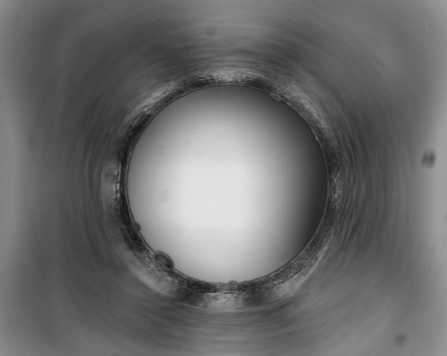 X0000100360356200806131020