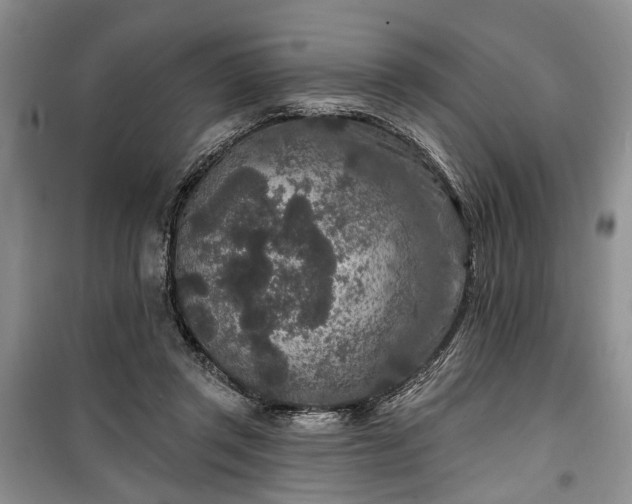 X0000100360357200806131020