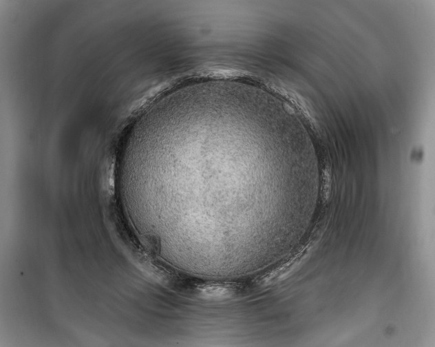 X0000100360358200806131020