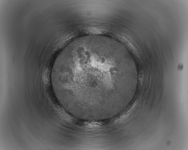 X0000100360359200806131020