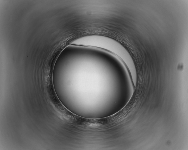 X0000100360360200806131020