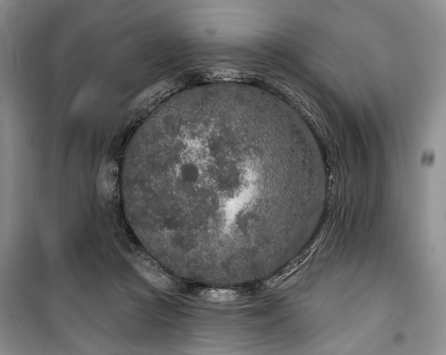 X0000100360361200806131020