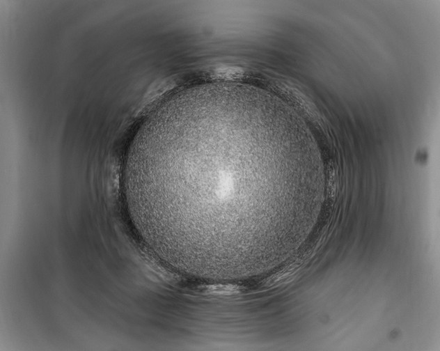 X0000100360363200806131020