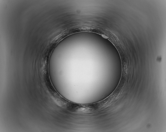 X0000100360364200806131020