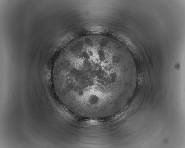 X0000100360365200806131020