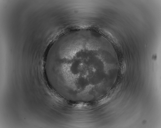 X0000100360366200806131020