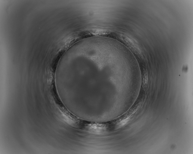 X0000100360367200806131020