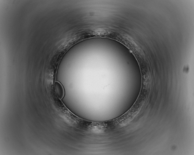 X0000100360368200806131020