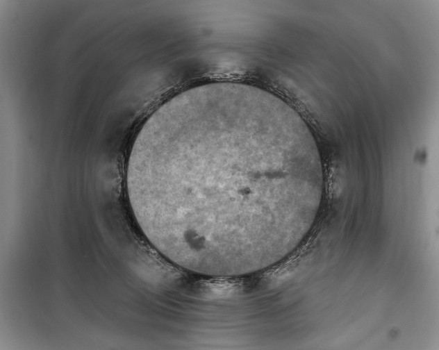 X0000100360370200806131020