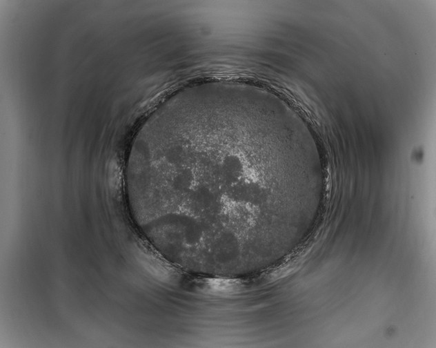 X0000100360371200806131020