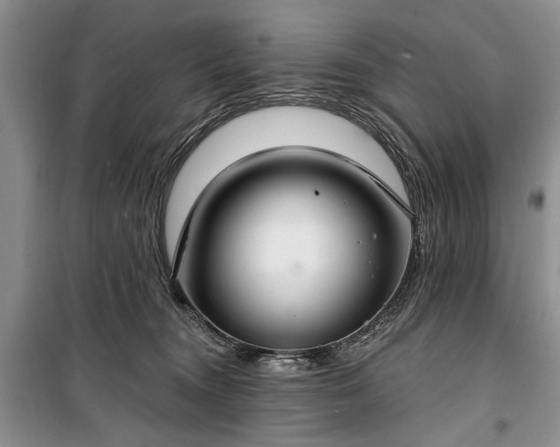 X0000100360372200806131020