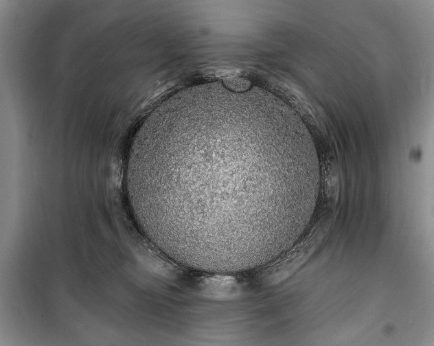 X0000100360374200806131020