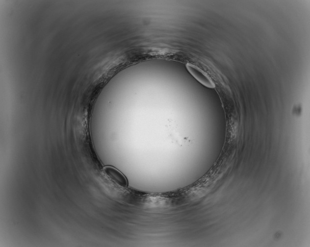 X0000100360376200806131020