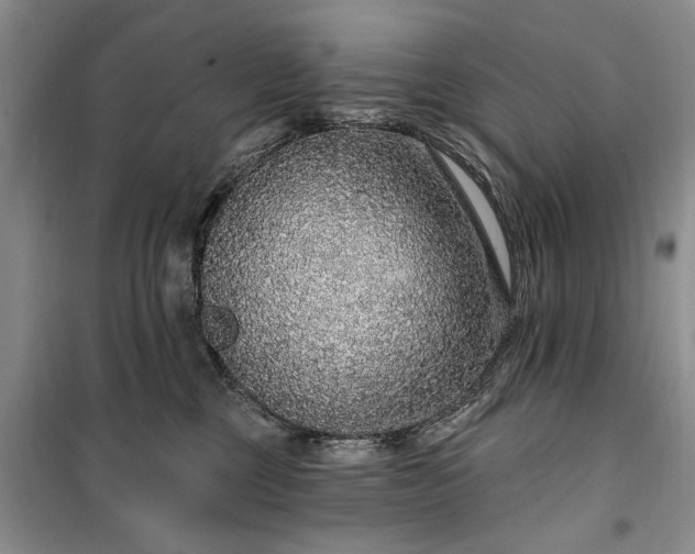 X0000100360377200806131020