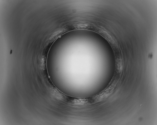 X0000100360378200806131020