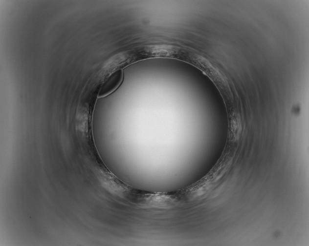 X0000100360379200806131020