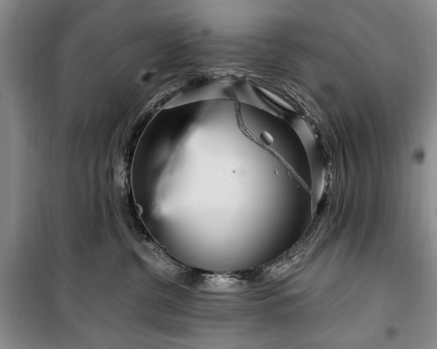 X0000100360380200806131020