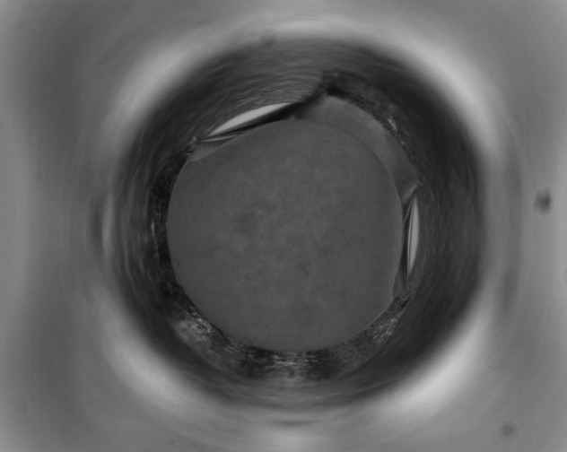 X0000100360382200806131020