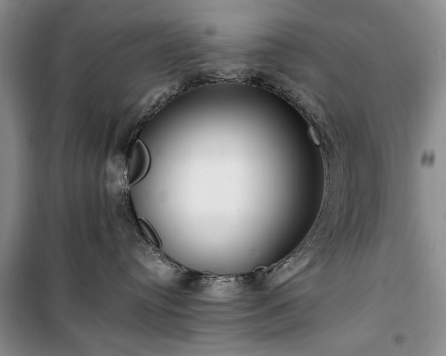 X0000100360384200806131020